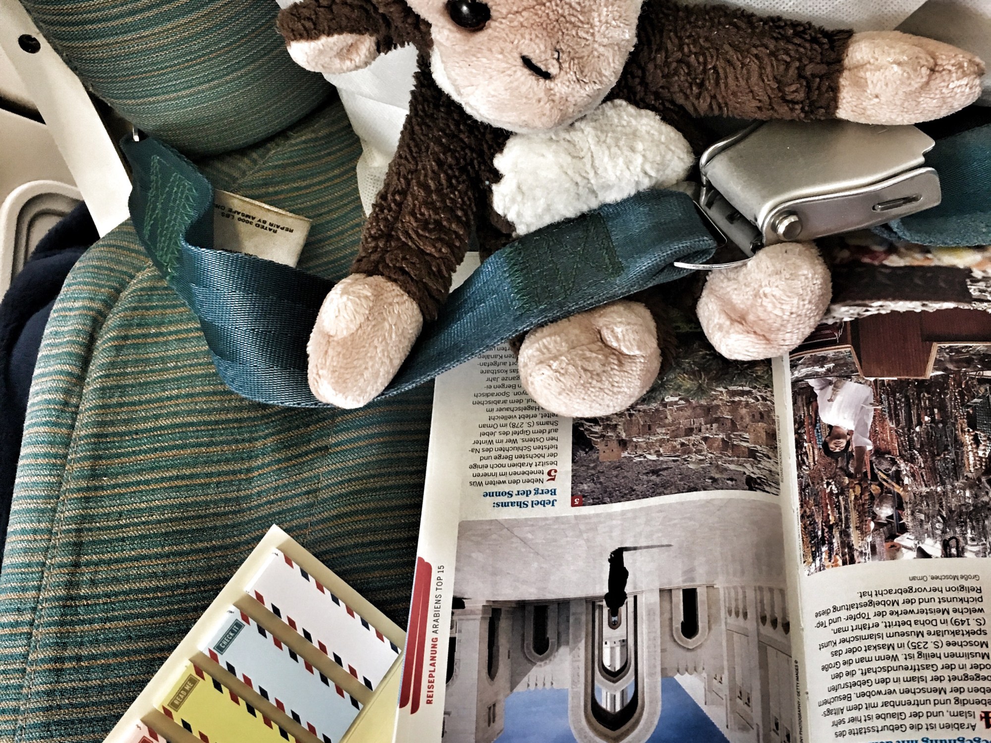 Guru, Monkey, Oman Air