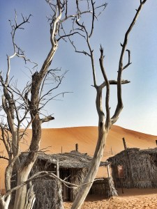Wahiba Sands, Desert, Oman