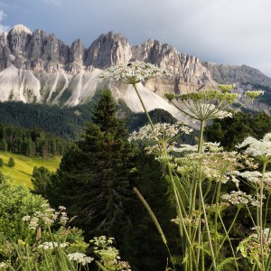 Schatzerhütte, Dolomiten, Südtirol, Italien