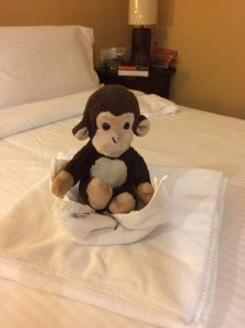 shetravelswithamonkey, Guru, Kuala Lumpur, Malaysia