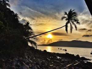 Sun, Sundowner, Plams, Beach, Perhentians, Malaysia