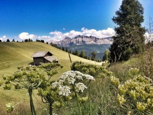 Peitlerkofel, Dolomiten, Südtirol, Italien