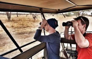 Safari, Materuni, Tanzania